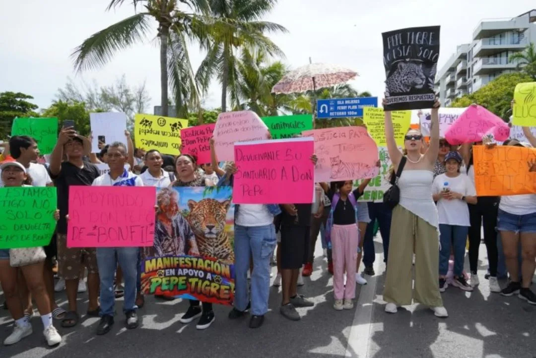 Protesters hold banners in Cancún demanding information about the fate of big cats kept by José Juárez Gil, known as Pepe Tigre