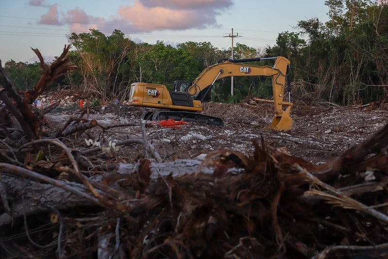 Puerto Morelos residents and environmental activists call for protection of wetlands and cenotes against urban expansion.