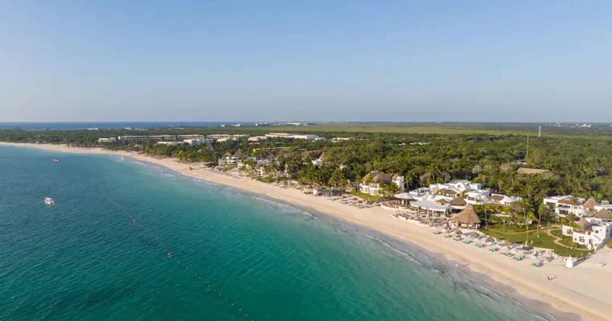Coastal vegetation and turquoise water along the Punta Maroma shoreline near Playa del Carmen, Quintana Roo