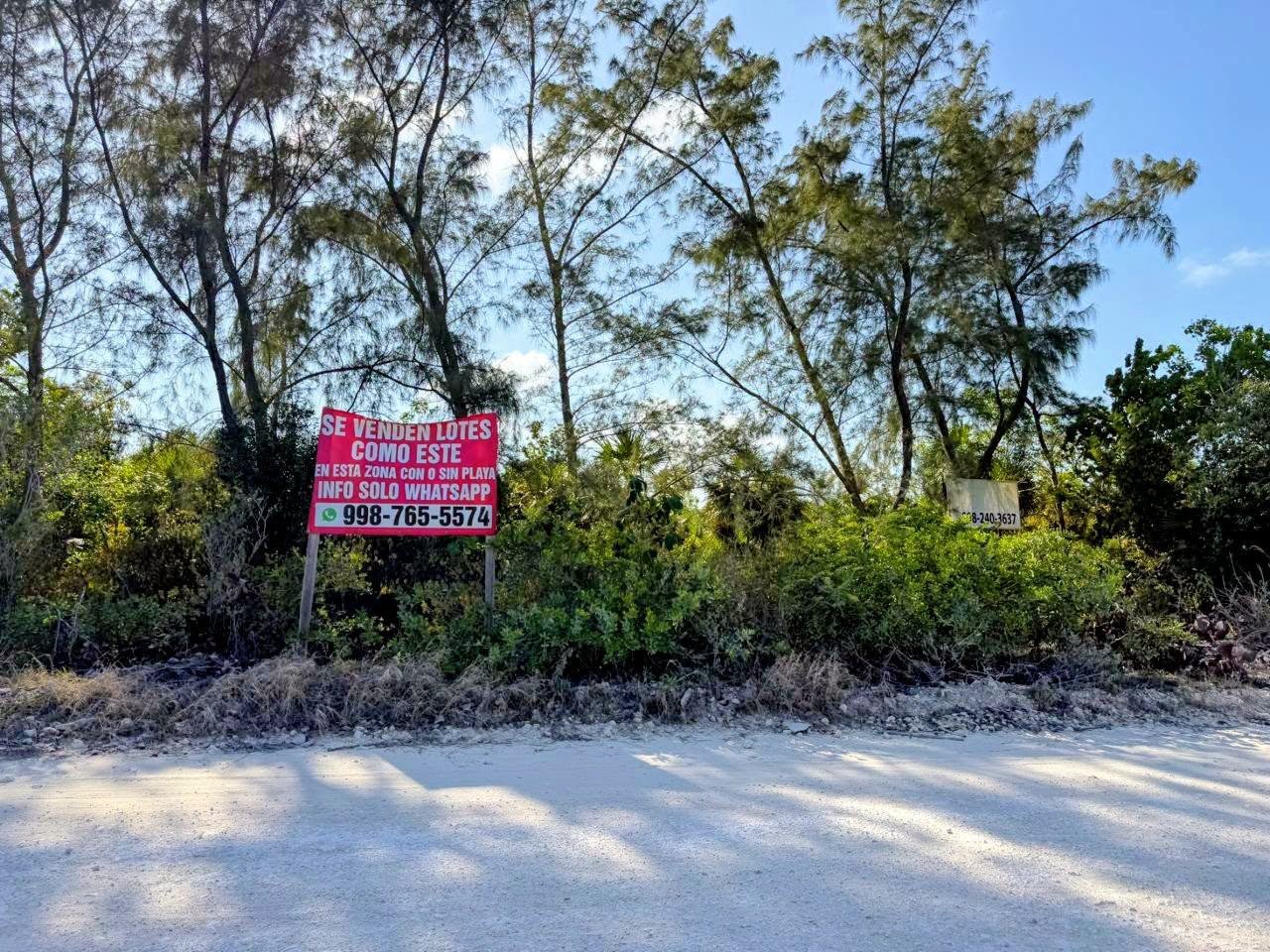 Coastal terrain and vegetation at Punta Sam on the mainland section of Isla Mujeres, Quintana Roo, near Laguna Chacmochuch