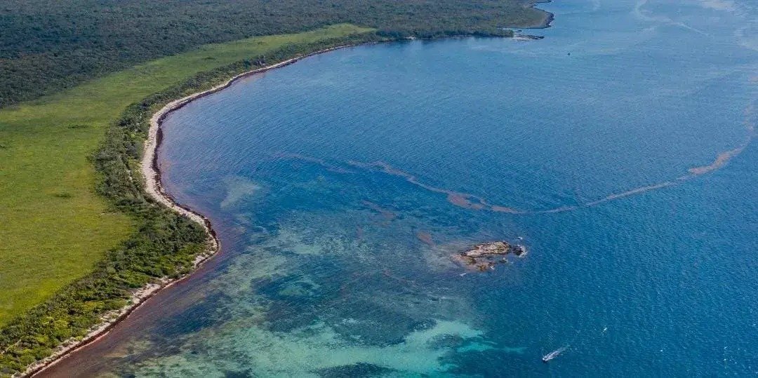 Coastal stretch of Punta Venado near Playa del Carmen, where new hotel projects and a Calica port dispute are unfolding