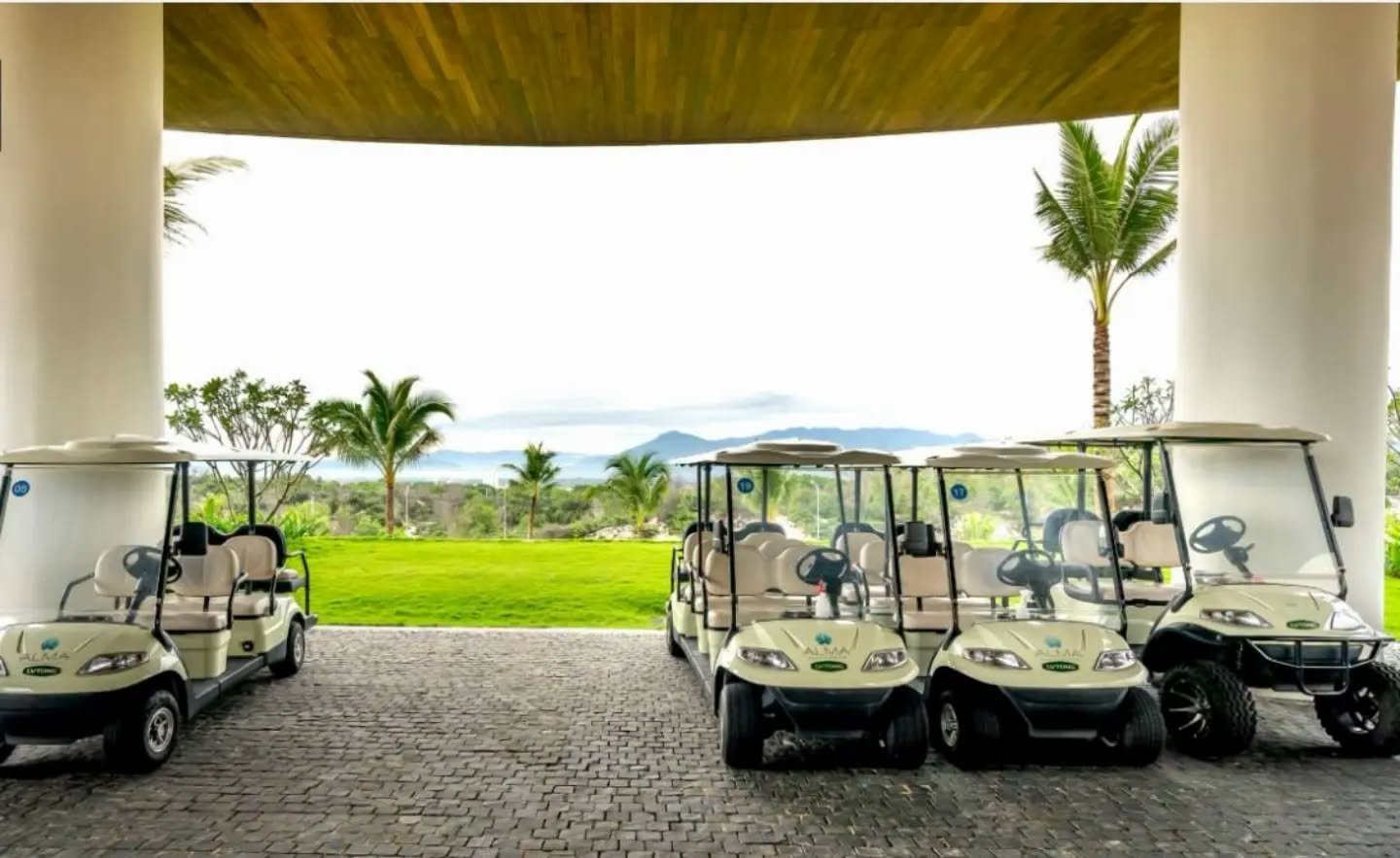 Golf carts parked in a row in Quintana Roo, where the state mobility institute has issued new inspection and certification rules for rental units