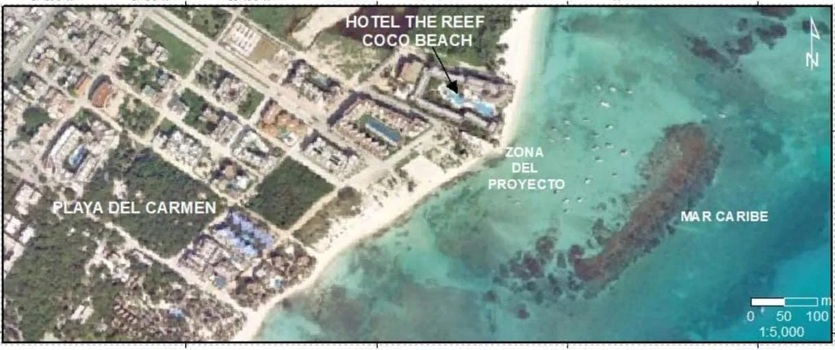 Semarnat denied environmental approval for a breakwater and sand replenishment project at the Coco Beach hotel in Playa del Carmen