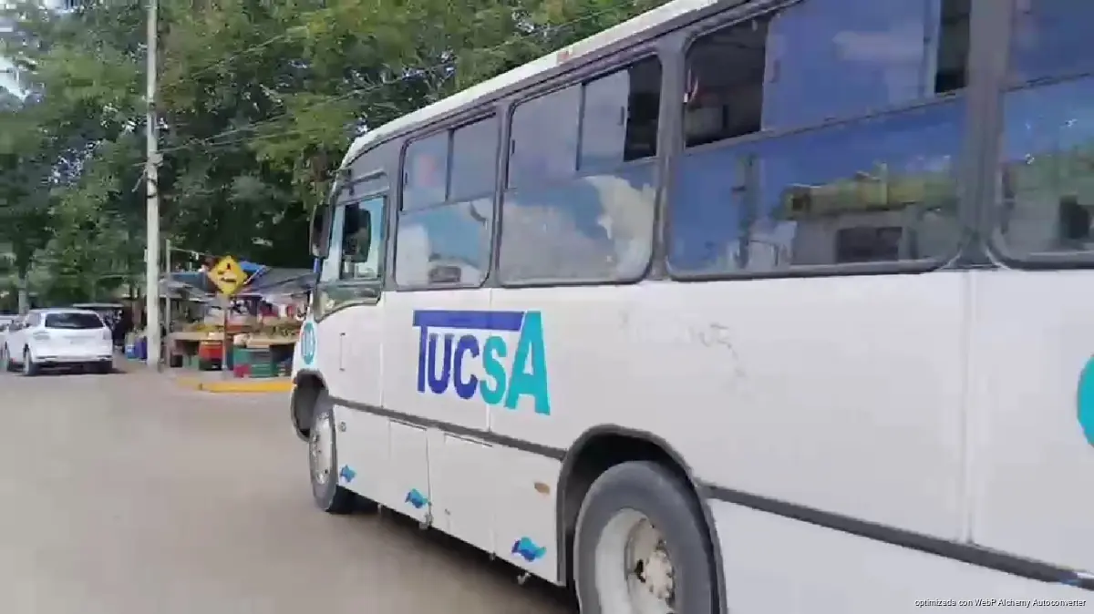 TUCSA public transit buses lined up in Playa del Carmen, Quintana Roo