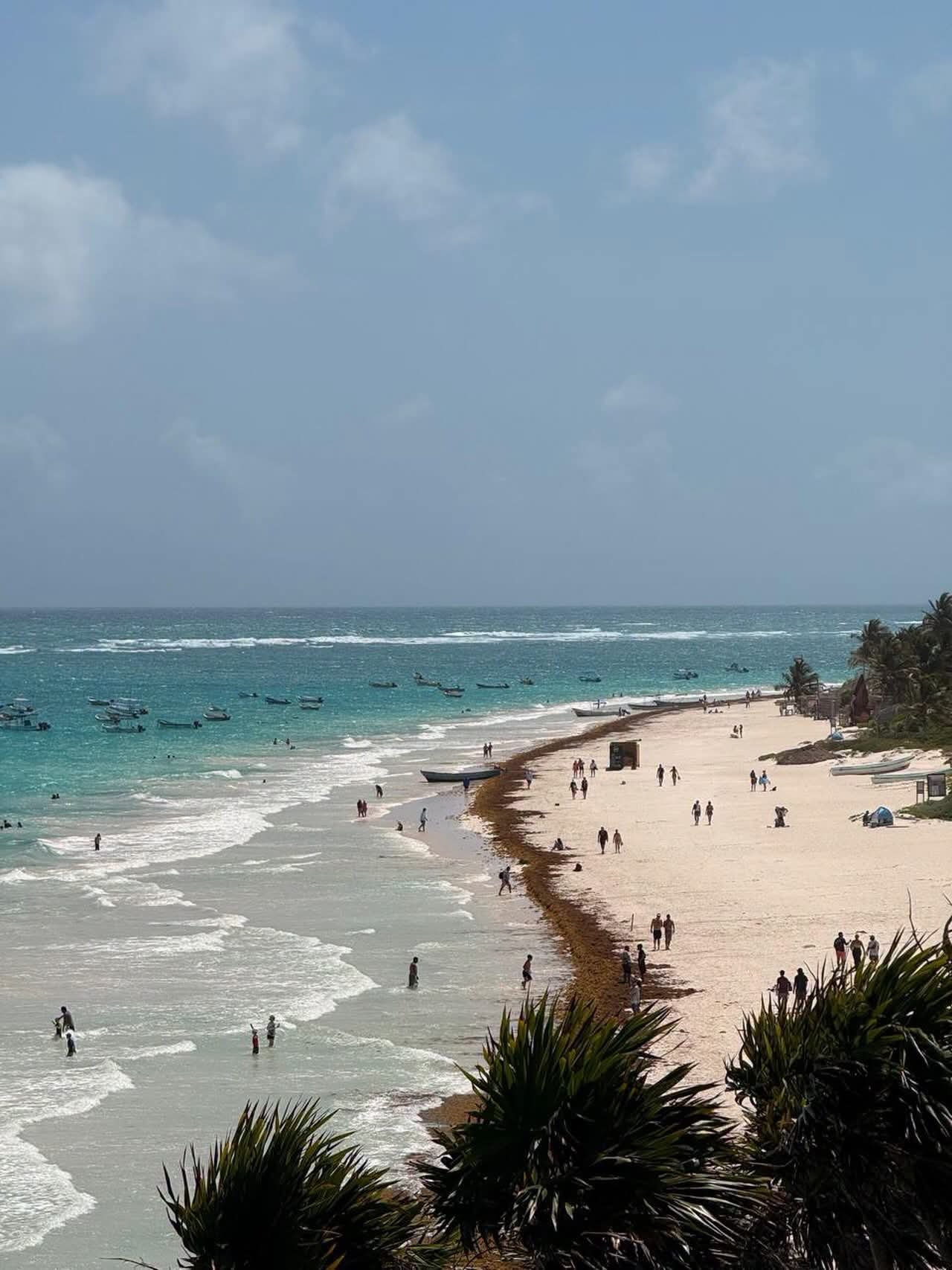 A beach in Tulum with sargassum seaweed on the sand during the low tourist season
