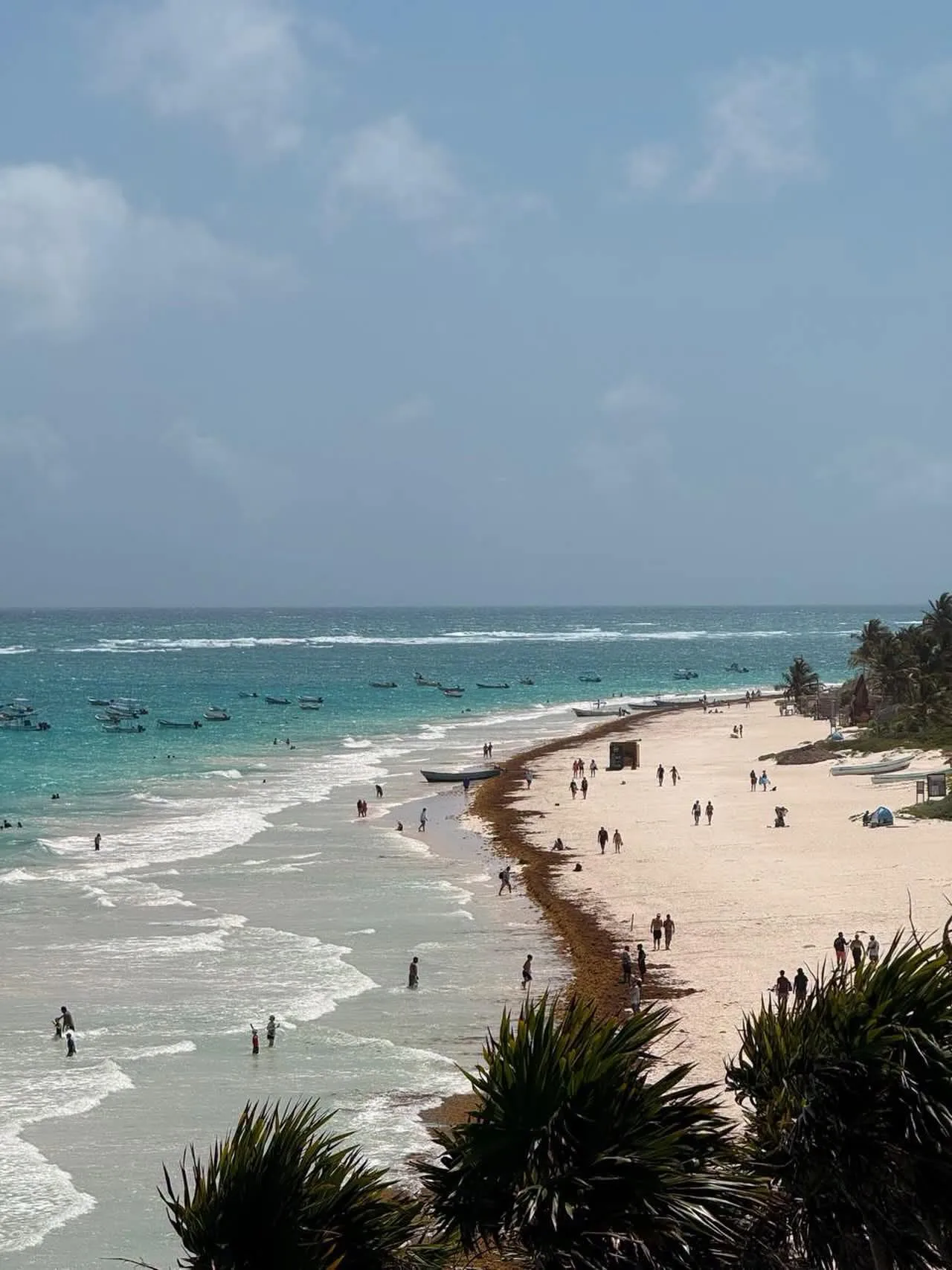 A beach in Tulum with sargassum seaweed on the sand during the low tourist season