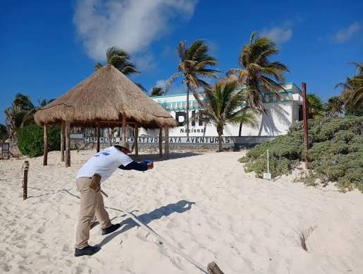 turtle nests at Playa Aventuras DIF