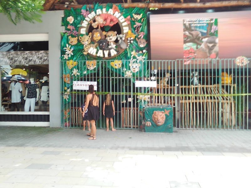Animals kept on display for tourist photographs at a venue in Playa del Carmen, Quintana Roo