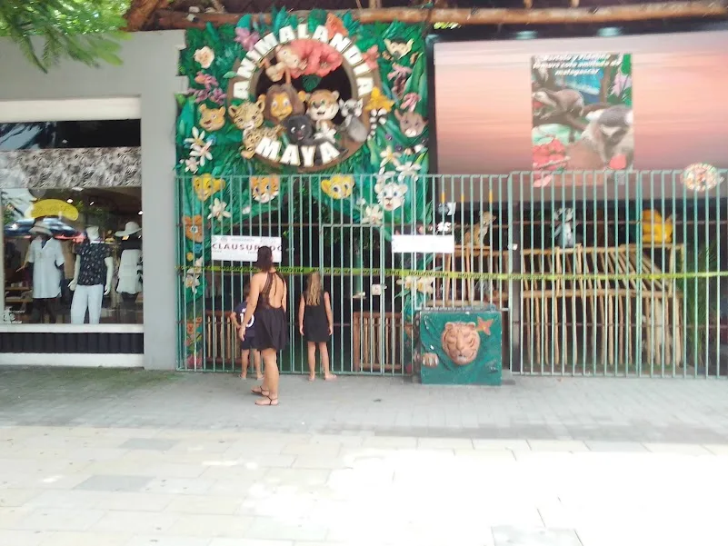 Animals kept on display for tourist photographs at a venue in Playa del Carmen, Quintana Roo