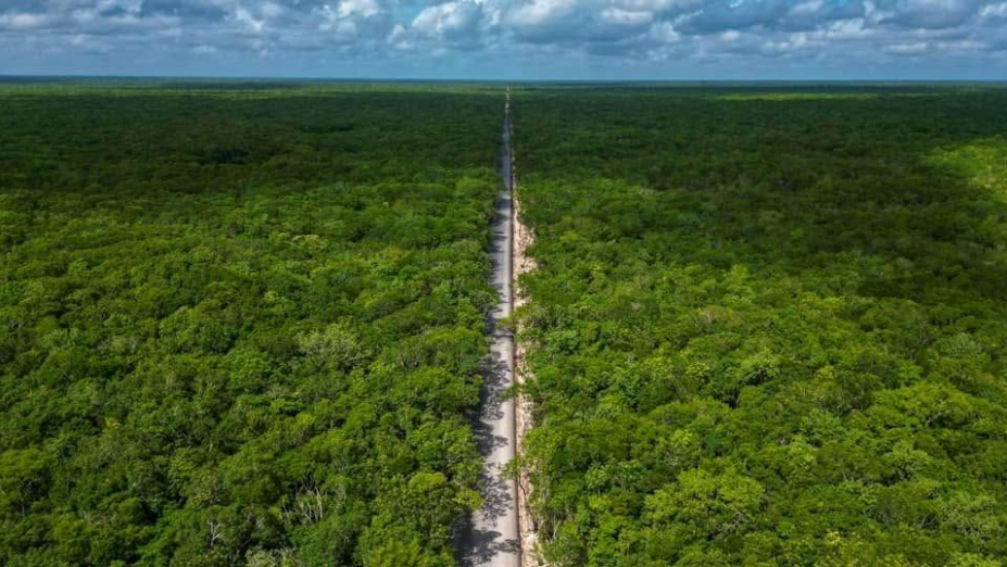 An aerial view shows a straight, unpaved road running through a vast expanse of dense green forest toward a flat horizon under a cloudy blue sky.