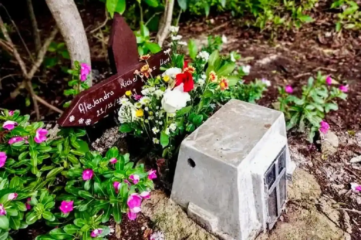 A small grave with a wooden sign and flowers, marking the resting place of Alejandro Nicho, surrounded by green foliage and colorful blooms.$# CAPTION