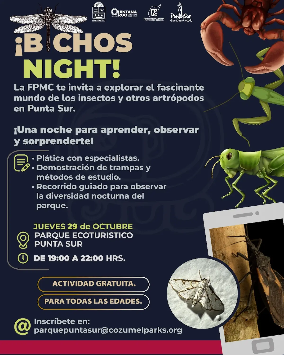 A dark blue event poster titled Bichos Night with illustrations of a dragonfly, crab, praying mantis, grasshopper, moth and a smartphone photo of an insect, plus event details in Spanish.