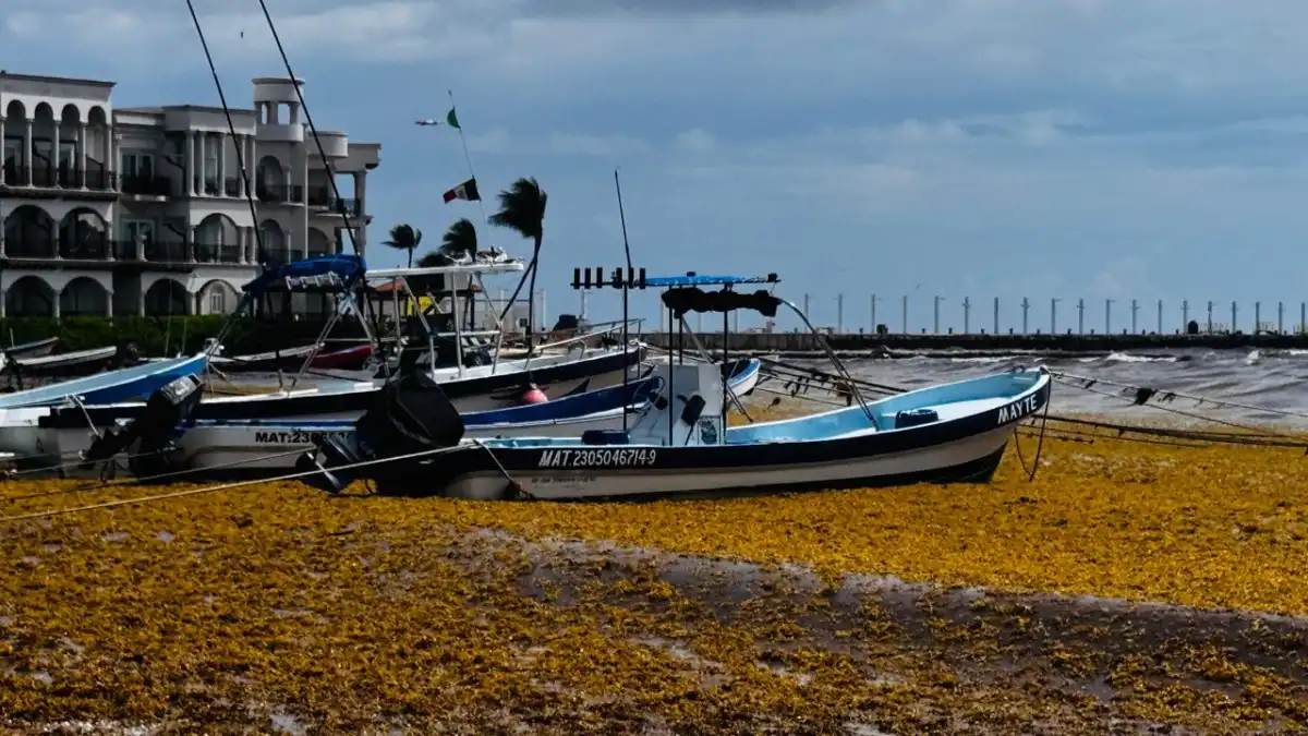 Several small fishing boats are beached on a thick layer of brown seaweed in front of a white multi-story building and a stone breakwater under a cloudy sky.