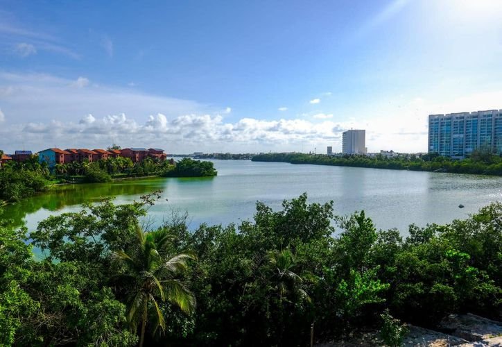 View of the Bojorquez Lagoon in Cancun, where experts warn of severe environmental deterioration and bacterial growth