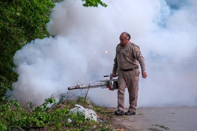 Workers fumigating a cemetery in Cancún to prevent the breeding of dengue-carrying mosquitoes ahead of Day of the Dead