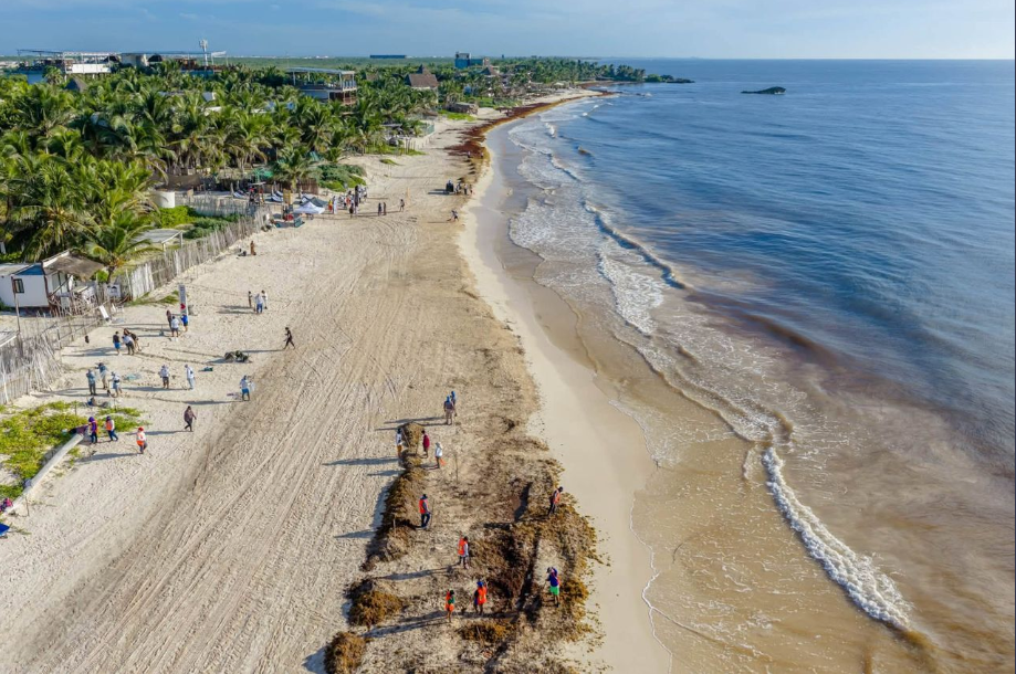 Hotel and tourism leaders in Quintana Roo meet to discuss flight connectivity and sargassum impact on the Mexican Caribbean