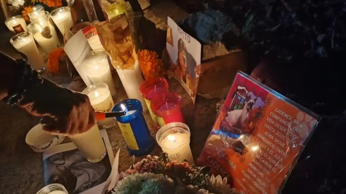 A hand lights a candle among many lit candles, flowers, and printed photographs arranged on the ground as a memorial.