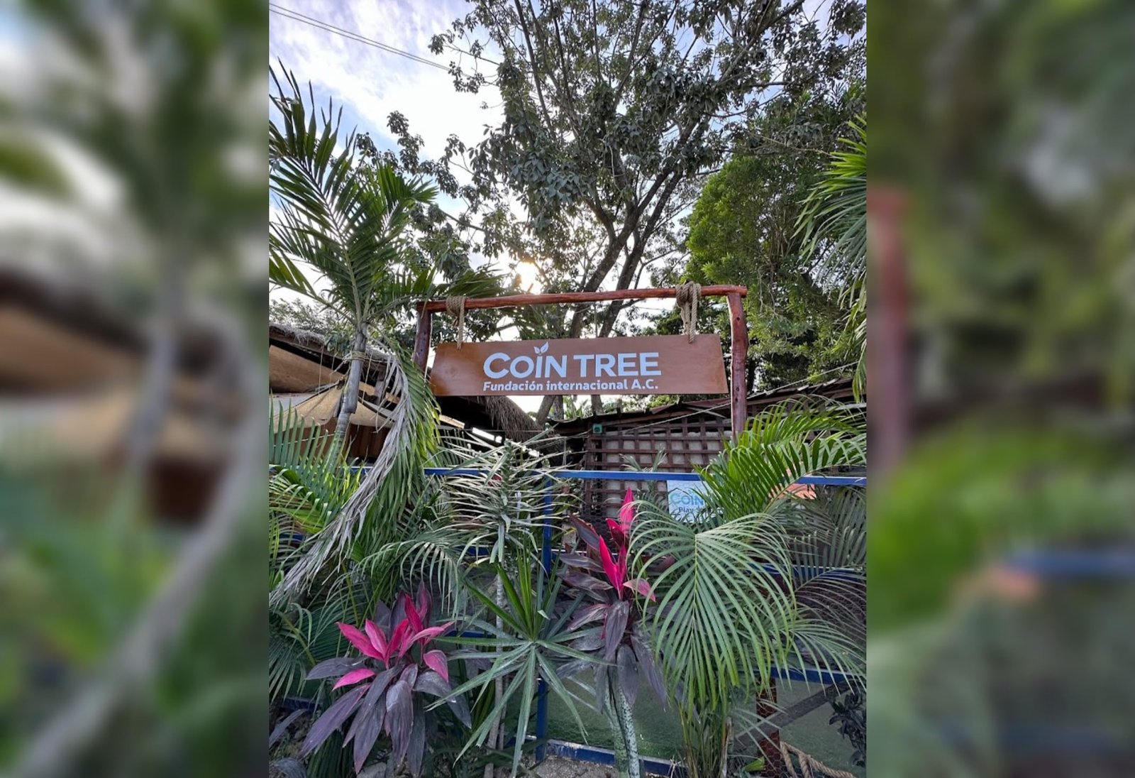 Homes in an irregular settlement in Tulum, Quintana Roo, where a local foundation reports rising gastrointestinal illnesses among families