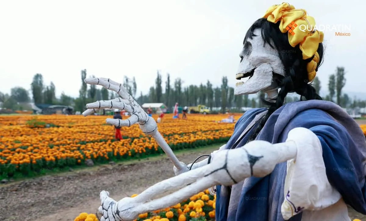 A skeleton figure dressed in traditional clothing with a yellow headpiece, gesturing in a field of marigold flowers in Mexico.$#$ CAPTION