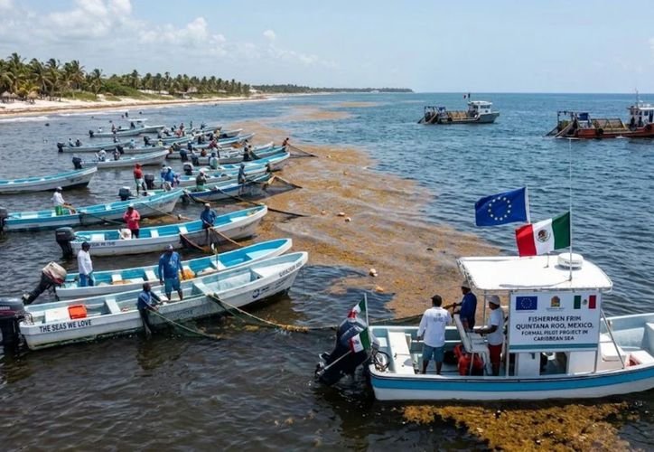 Small fishing boats gather sargassum seaweed in the Caribbean Sea off the coast of Quintana Roo, Mexico