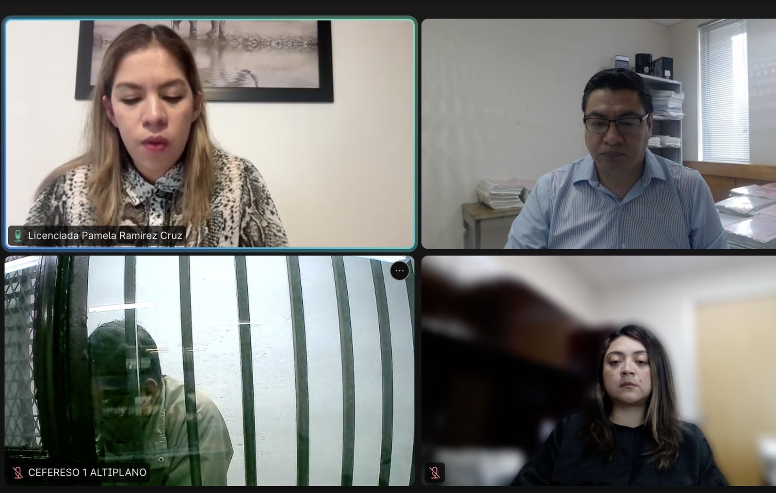 A screenshot of a four panel video call showing a woman in a patterned blouse, a man in a blue striped shirt and glasses, a person behind green bars, and a woman in a dark shirt with a blurred foreground object.
