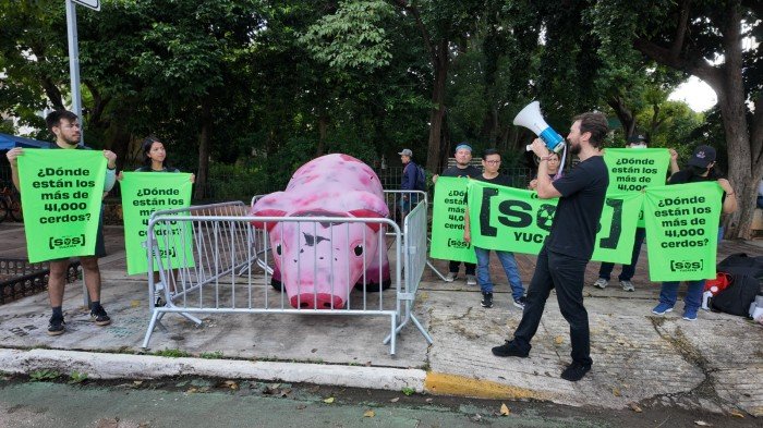 Activists from Mercy for Animals stand beside an inflatable pig held between metal barriers during a protest on Paseo de Montejo in Mérida, Yucatán