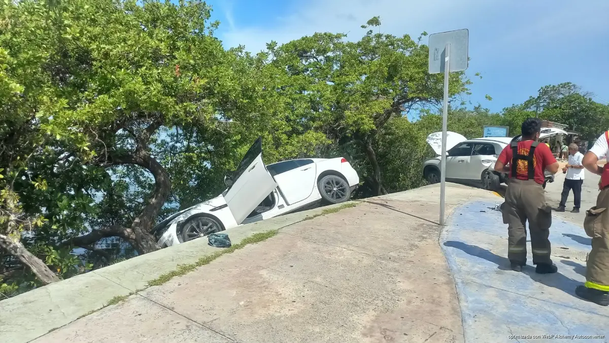 A dark luxury Jaguar car resting against a tree inside the mangrove after colliding with a parked SUV on Bulevar Kukulcán in Cancún