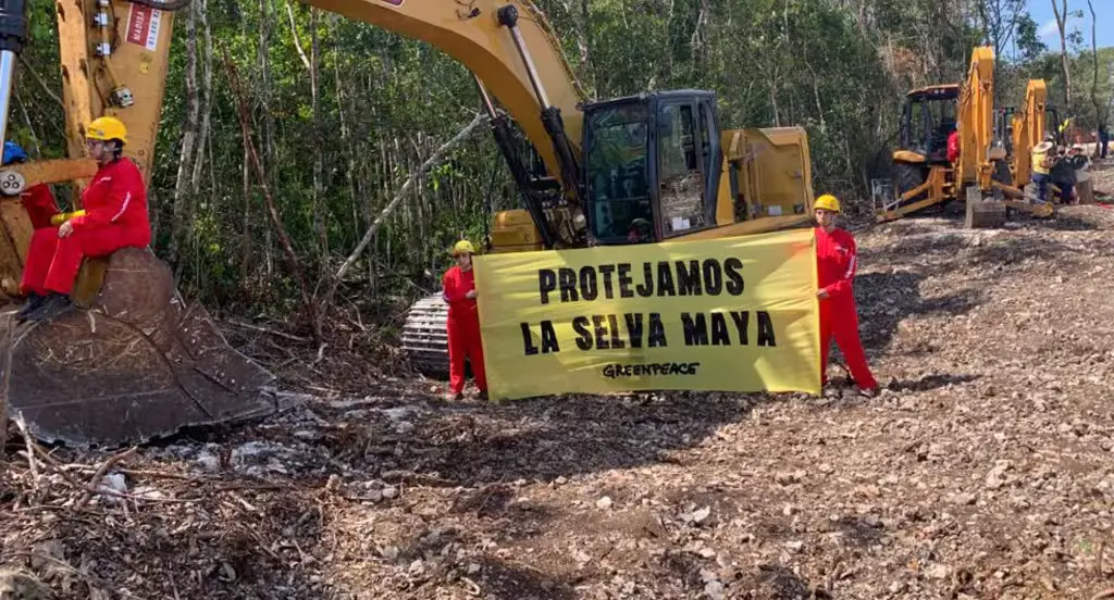 Dense Maya jungle stretching across the Yucatán Peninsula beside land cleared for pasture and roads