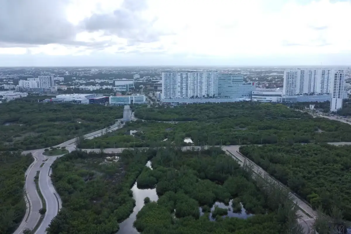 View of the Malecón Tajamar area in Cancún, where mangrove land is at the center of a legal dispute over development