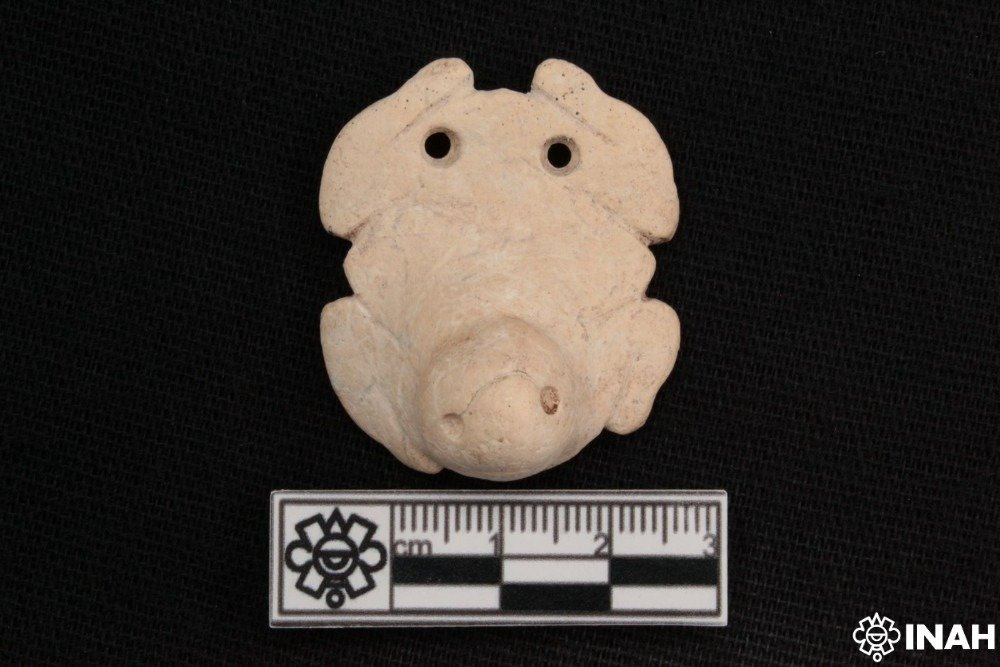 Polished shell pendants carved in the shape of frogs and toads recovered from Maya archaeological sites in Campeche and Yucatan
