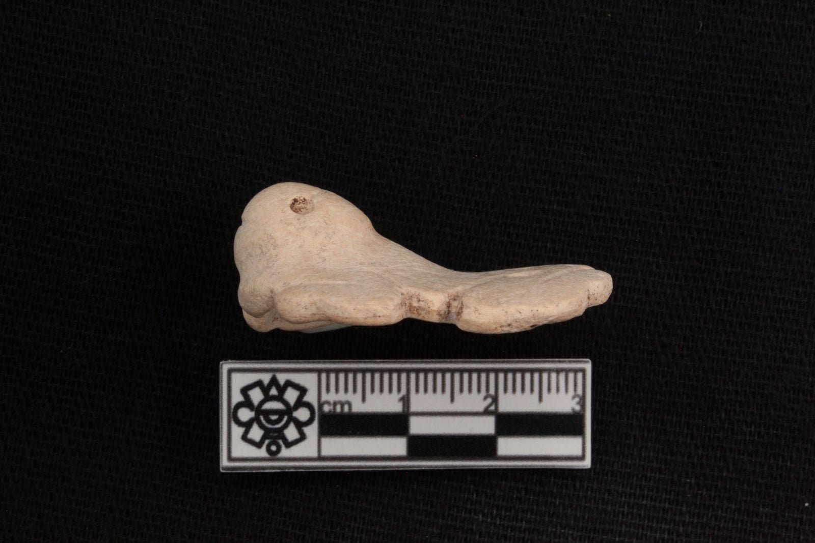 Small shell pendants carved in the shape of frogs and toads that were recovered from archaeological sites along the Tren Maya route in Campeche and Yucatan
