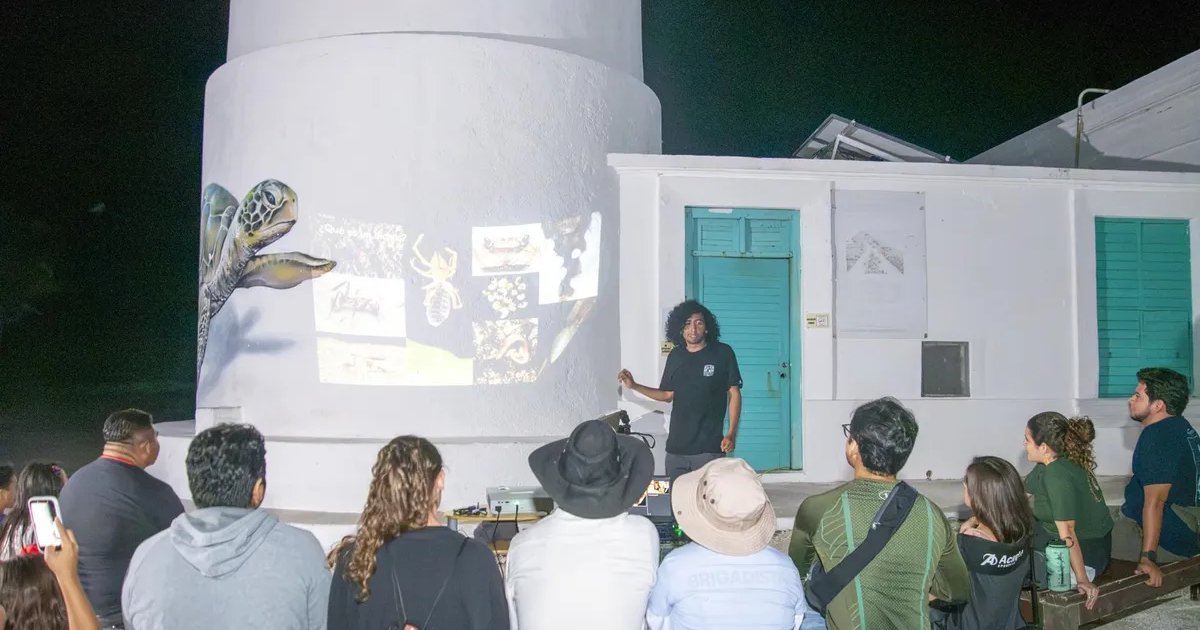 A person stands beside a white building at night while images including a sea turtle and insects are projected onto the wall in front of a seated audience.