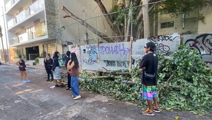 A group of people stand on a street beside a large pile of fallen tree branches in front of a graffiti-covered wall and a building.