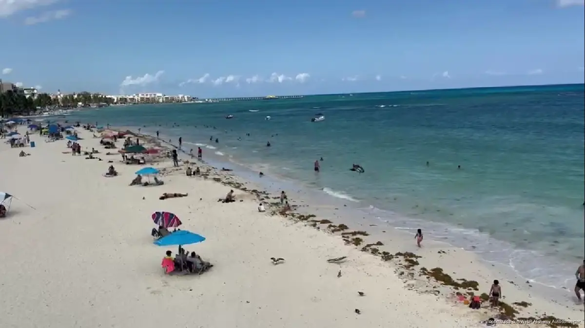 Stretch of white-sand public beach and turquoise water in Playa del Carmen, Quintana Roo, where eight Blue Flag certifications are set to be renewed