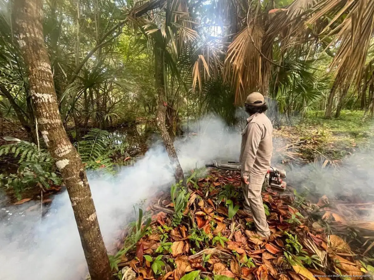 Municipal health workers in Playa del Carmen carry out dengue prevention measures to eliminate mosquito breeding sites