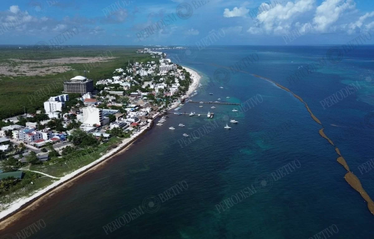 Floating sargassum containment barriers offshore near a beach in Puerto Morelos, Quintana Roo