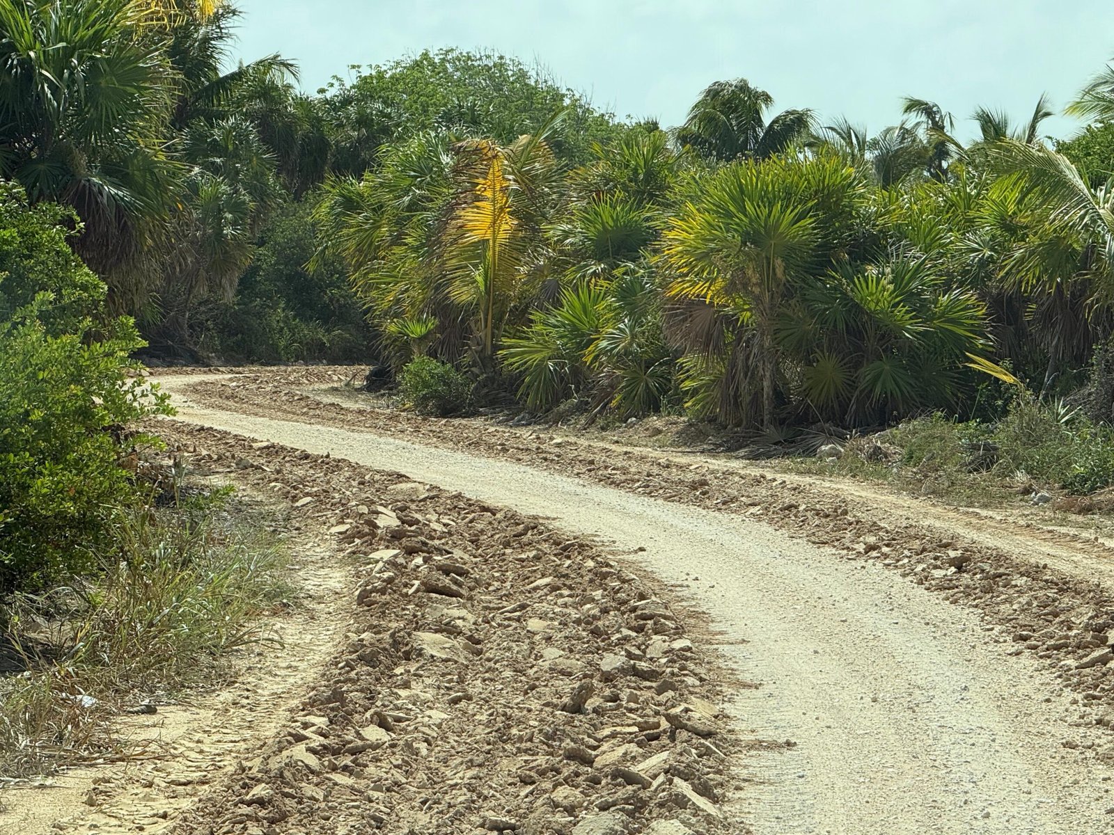 Heavy machinery and workers compacting and stabilizing the dirt road that links Punta Allen to Tulum in Quintana Roo