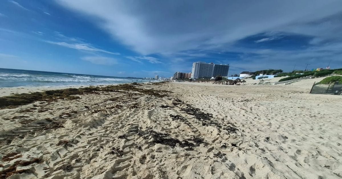 A wide sandy beach strewn with dark seaweed in the foreground leads to the ocean on the left and a row of tall white hotels and palm trees in the distance under a blue sky with wispy clouds.