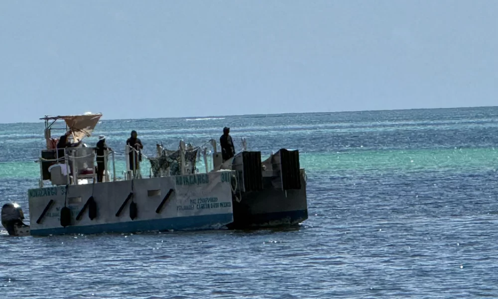 Small fishing boats anchored off the coast of Quintana Roo, where a planned sargassum fishery would operate