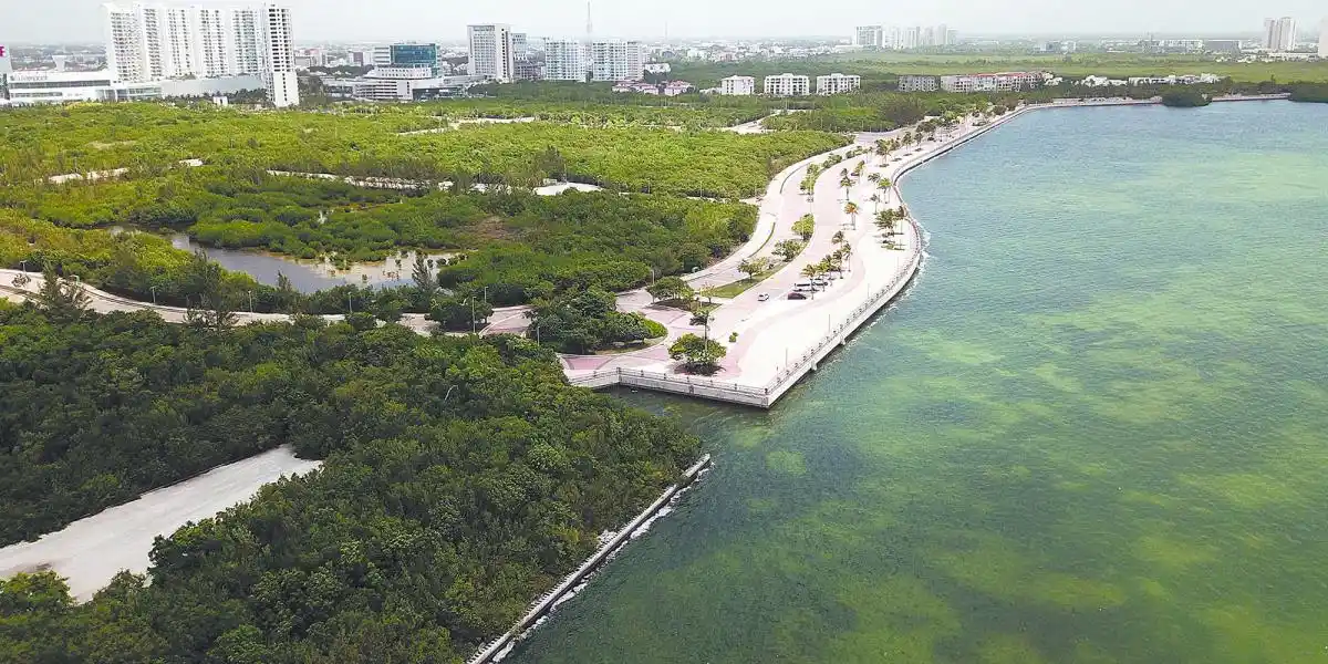 Aerial view of a waterfront with a winding path, surrounded by greenery and water - 18102026