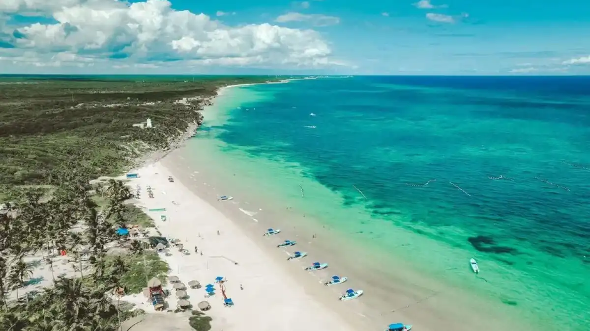 Coastal development and mangrove area in Quintana Roo where four tourism projects were rejected by Semarnat