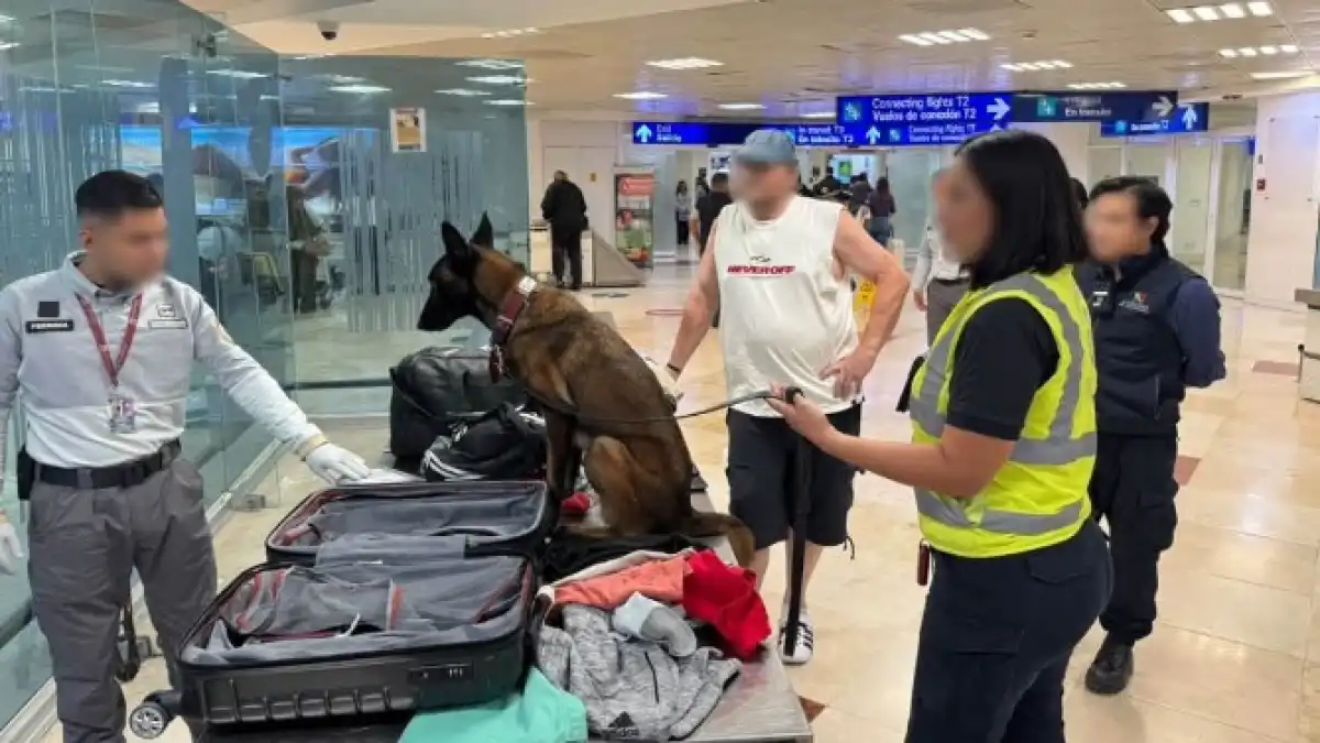 A security officer and a sniffer dog inspect a suitcase at Cancún International Airport after cocaine was found in a hidden compartment