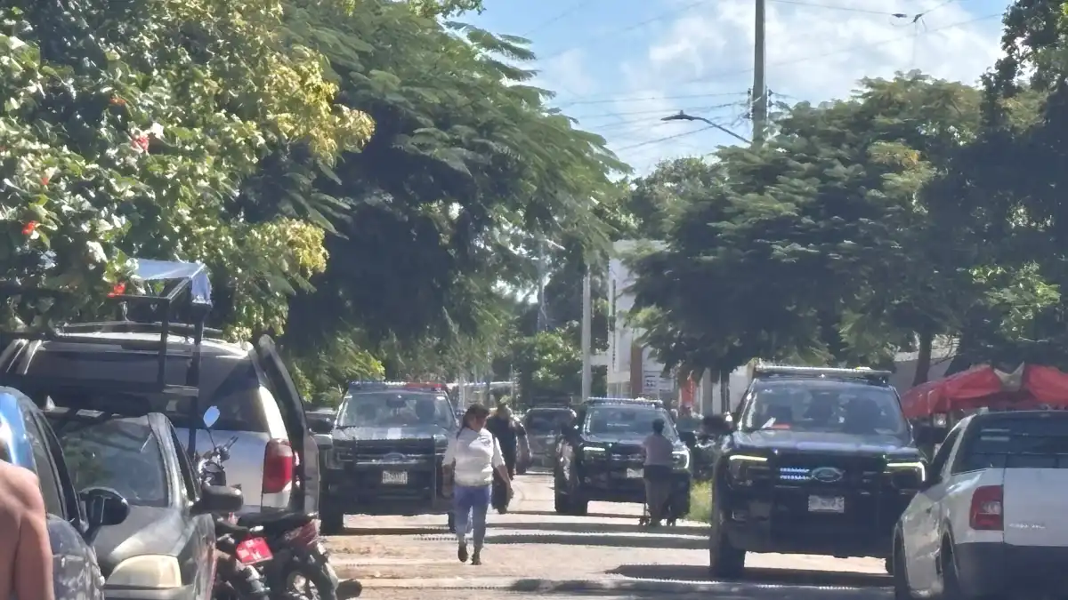 A street lined with parked cars and trees, with people walking along the road and vehicles driving toward the camera.