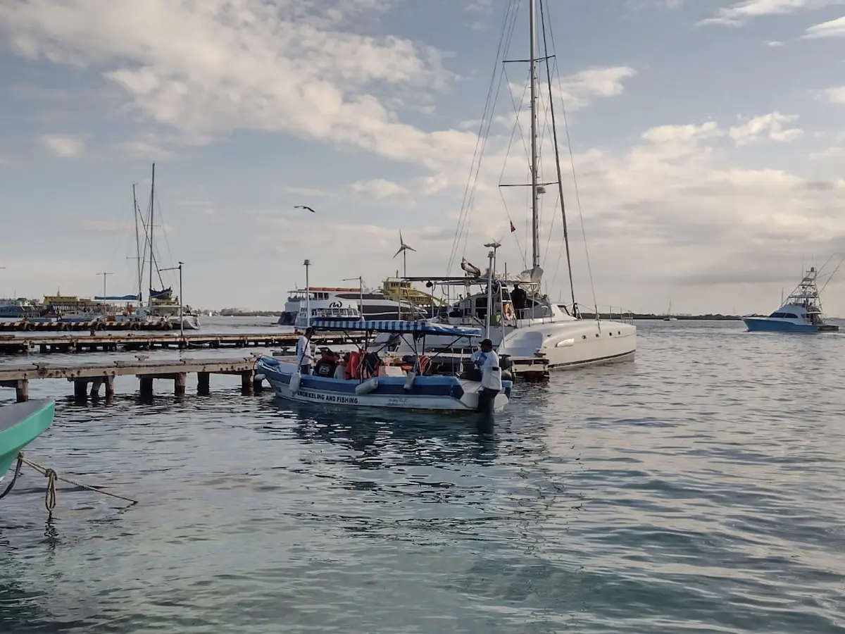 A picturesque harbor scene featuring several boats, with a clear sky and calm water.$# CAPTION