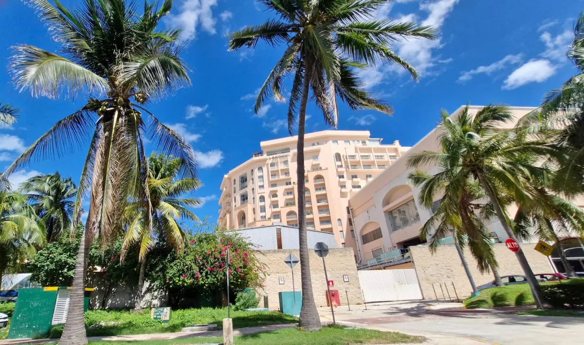 A view of tall palm trees in the foreground with a modern building and blue sky in the background.$# CAPTION
