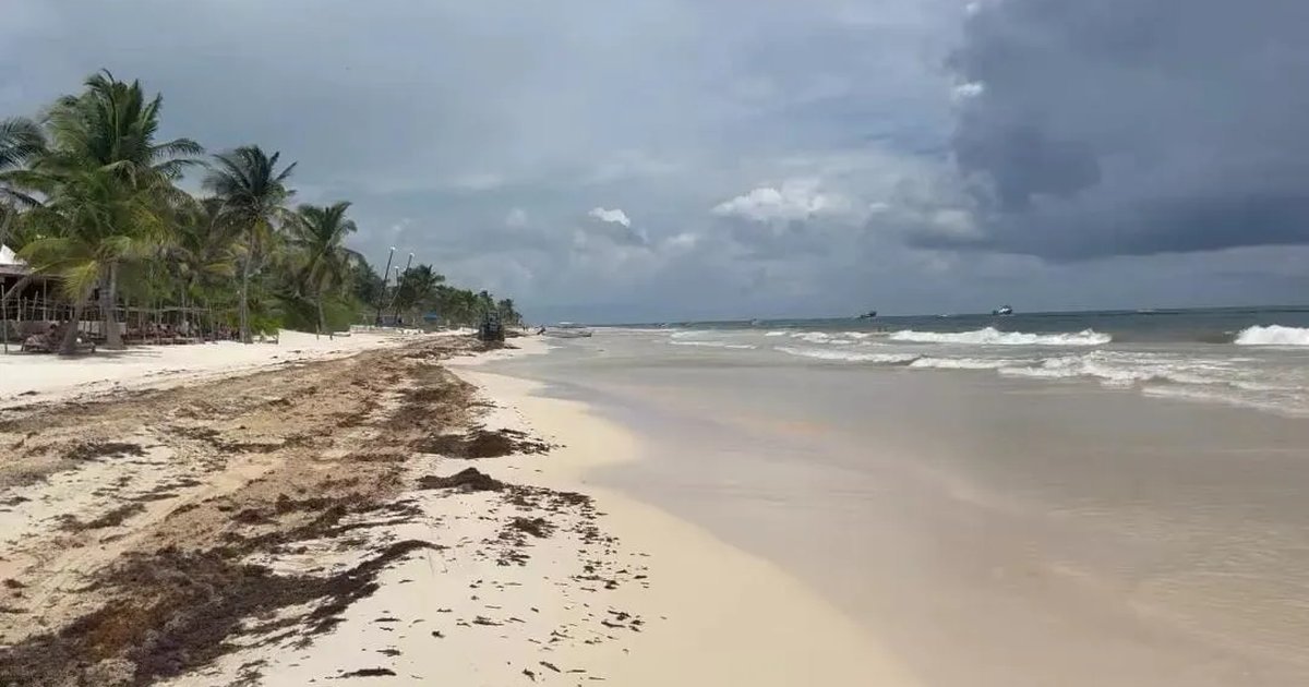Beach and hotel zone in Tulum, Quintana Roo, where business owners say police extortion is deepening a tourism slump