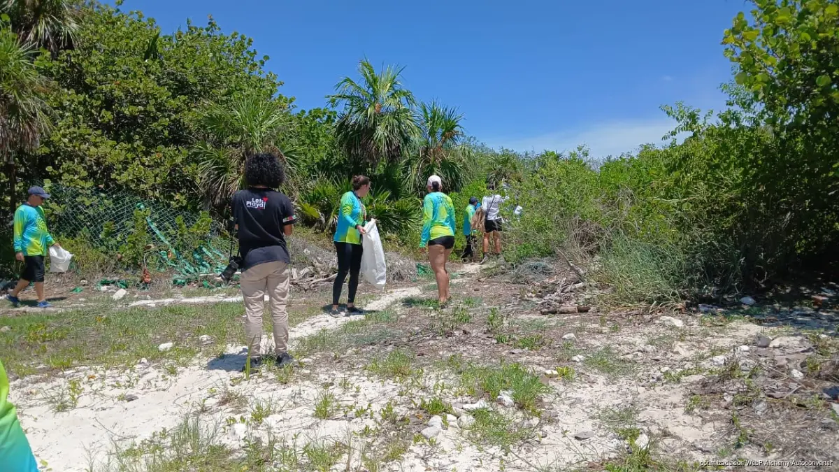 Volunteers picking up trash along a sandy beach in Playa del Carmen, Quintana Roo