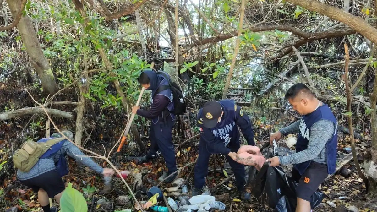 Four people in dark uniforms and vests pick up plastic waste and debris among mangrove roots and branches.